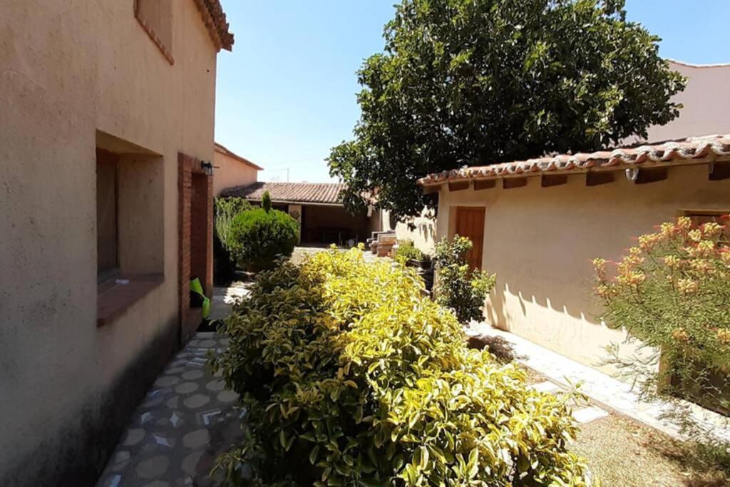Casa Rural La Paloma - Zamora Manganeses de la Lampreana Esterno foto
